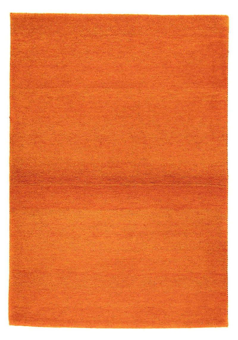 インド ギャベ 絨毯 180x120cm - ウールラグ