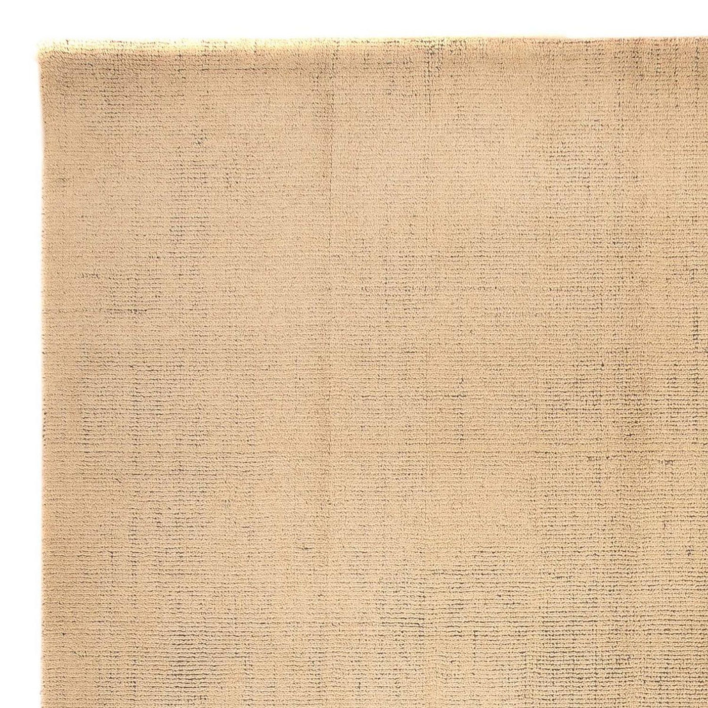 インド ギャベ 絨毯 300x250cm - ウールラグ